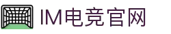 IM(股份有限公司)电竞-电子竞技平台